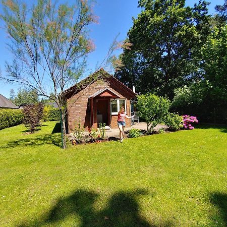 Ferienhaus Eschenallee Vila Wendisch Rietz Exterior foto